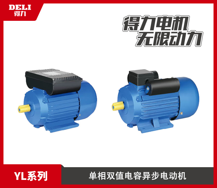 YL series single-phase two-value capacitor asynchronous motor