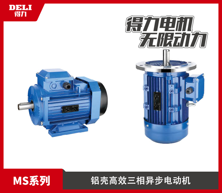 MS series aluminum shell high efficiency three-phase asynchronous motor